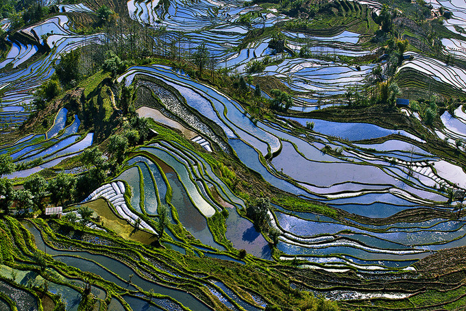 云南元陽(yáng)梯田最佳攝影旅游季節(jié)是什么時(shí)候呢？求告知！