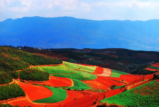云南東川紅土地的最佳旅游時間是什么時候？