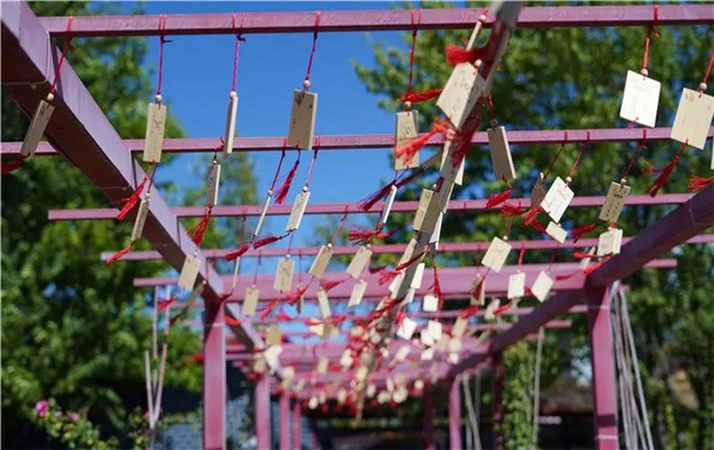 賞花親水、荷塘野趣……楚雄東華濕地公園許你一個(gè)繽紛夏日