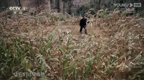 趣說人文歷史｜康乾盛世，“番薯盛世”？